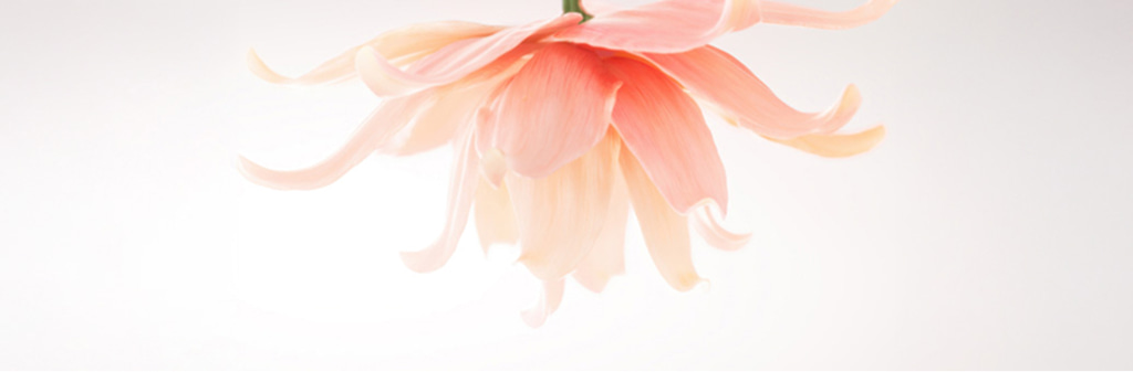 Látható eredmények