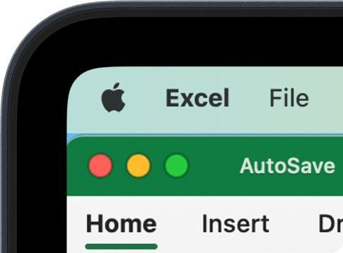 Apple MacBook + Excel