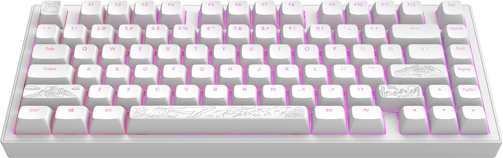 Dark Project ALU Terra Nostra White - US