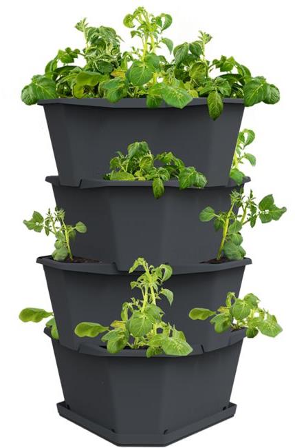 Gusta Garden PAUL POTATO 4 szintes önöntöző virágcserép, antracit