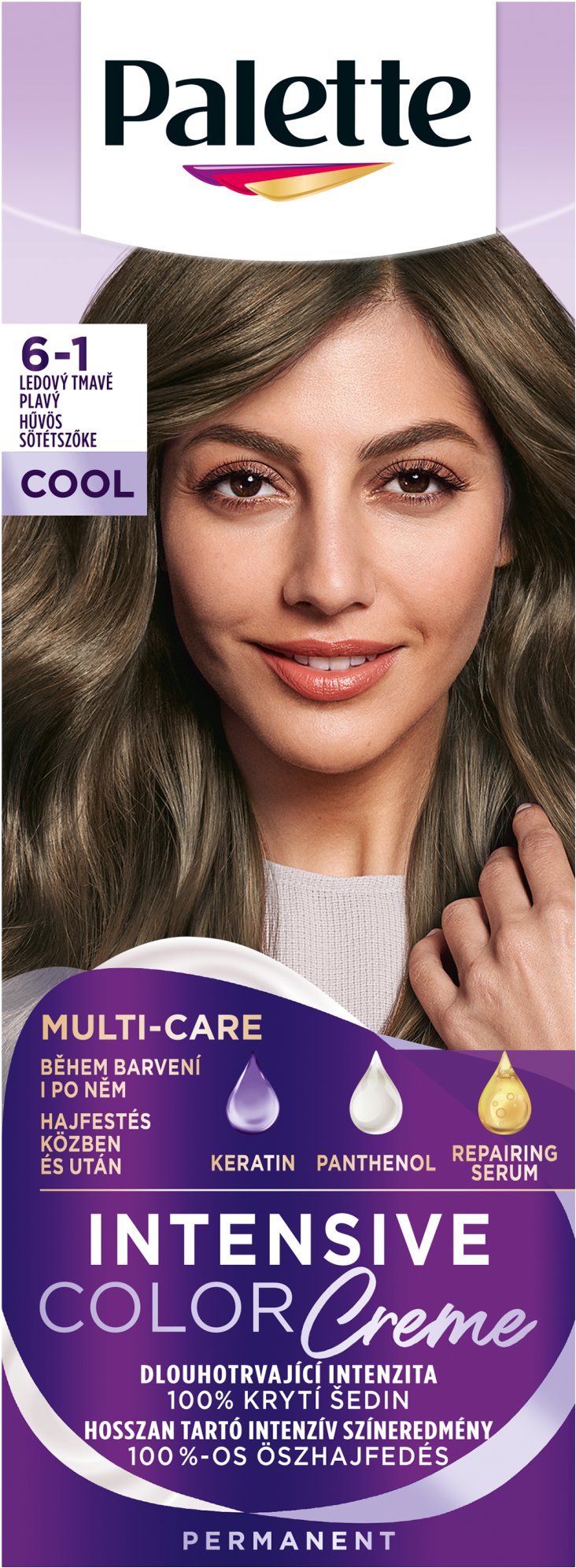 SCHWARZKOPF PALETTE ICC 6-1 Hűvös sötétszőke CEE2
