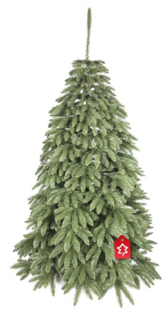Kaukázusi lucfenyő 2D 150 cm