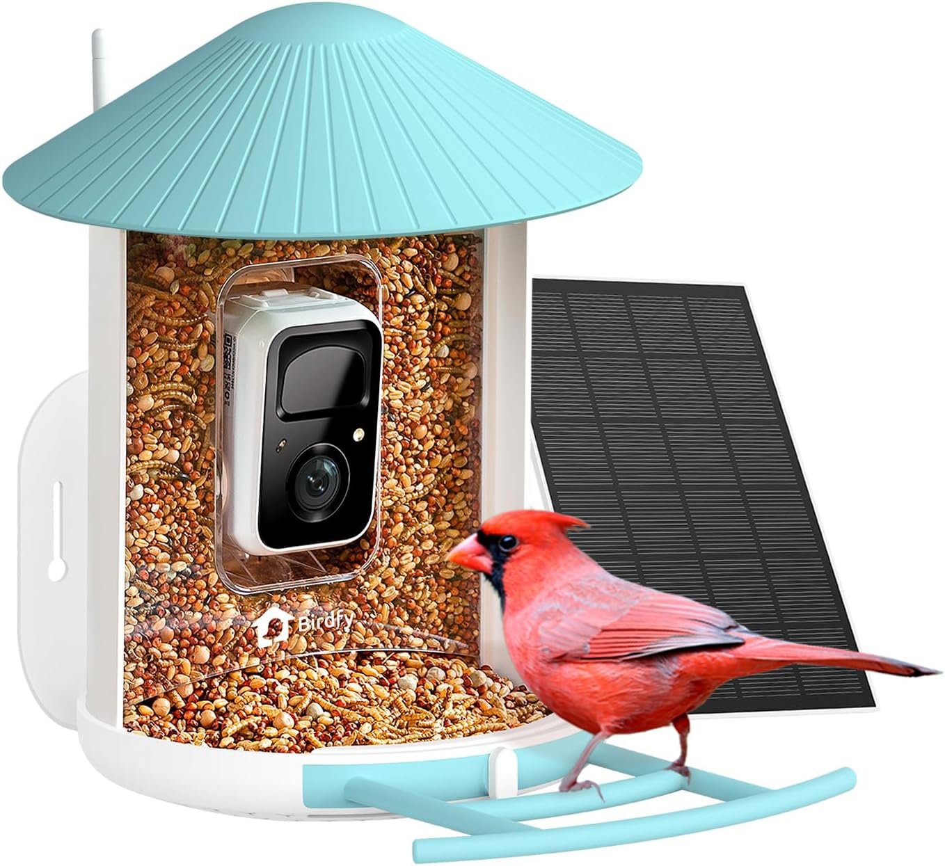 Birdfy Feeder Solar - ajándék 7 napos AI